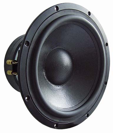 visaton 12 inch woofer