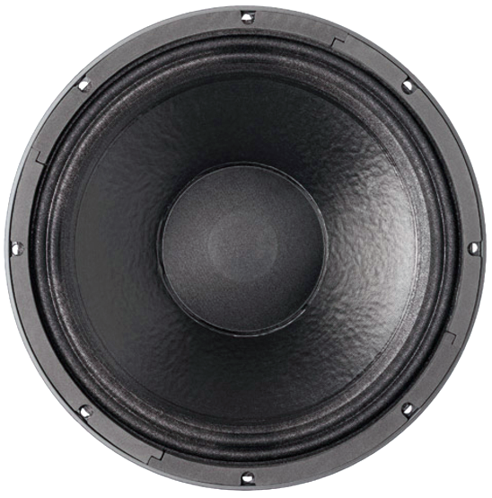 B&C Speaker 12CXT Coaxial