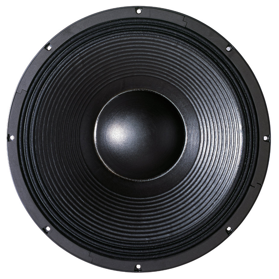 B&C Speaker 21DS115 Subwoofer