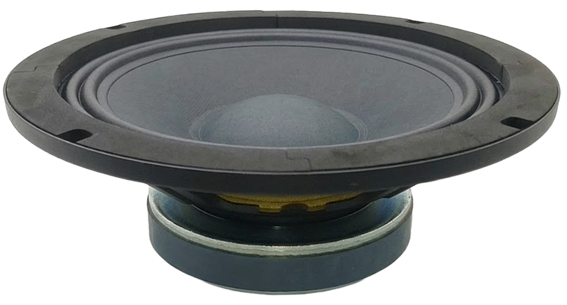 Celestion TF0815RE Mid Bass