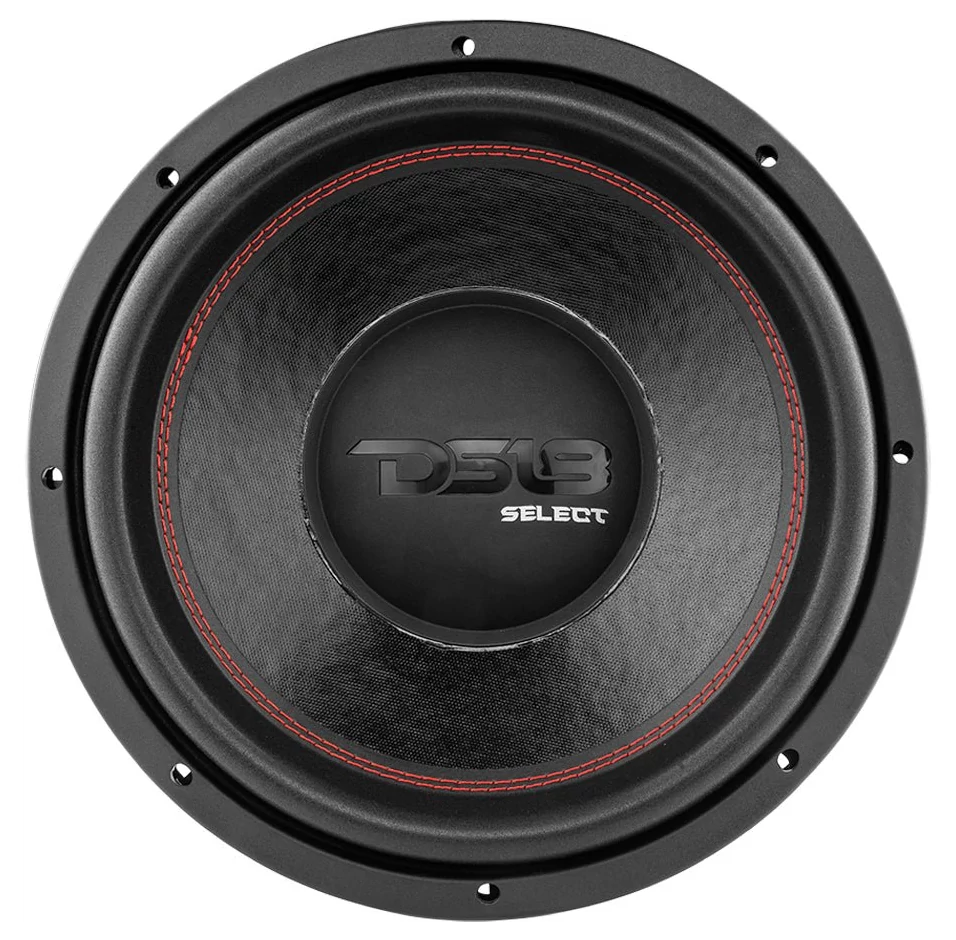 DS18 SLC12S Subwoofer