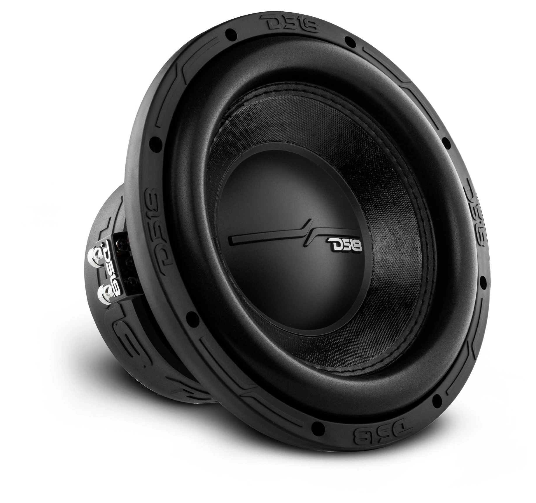 DS18 ZR10.2D Subwoofer