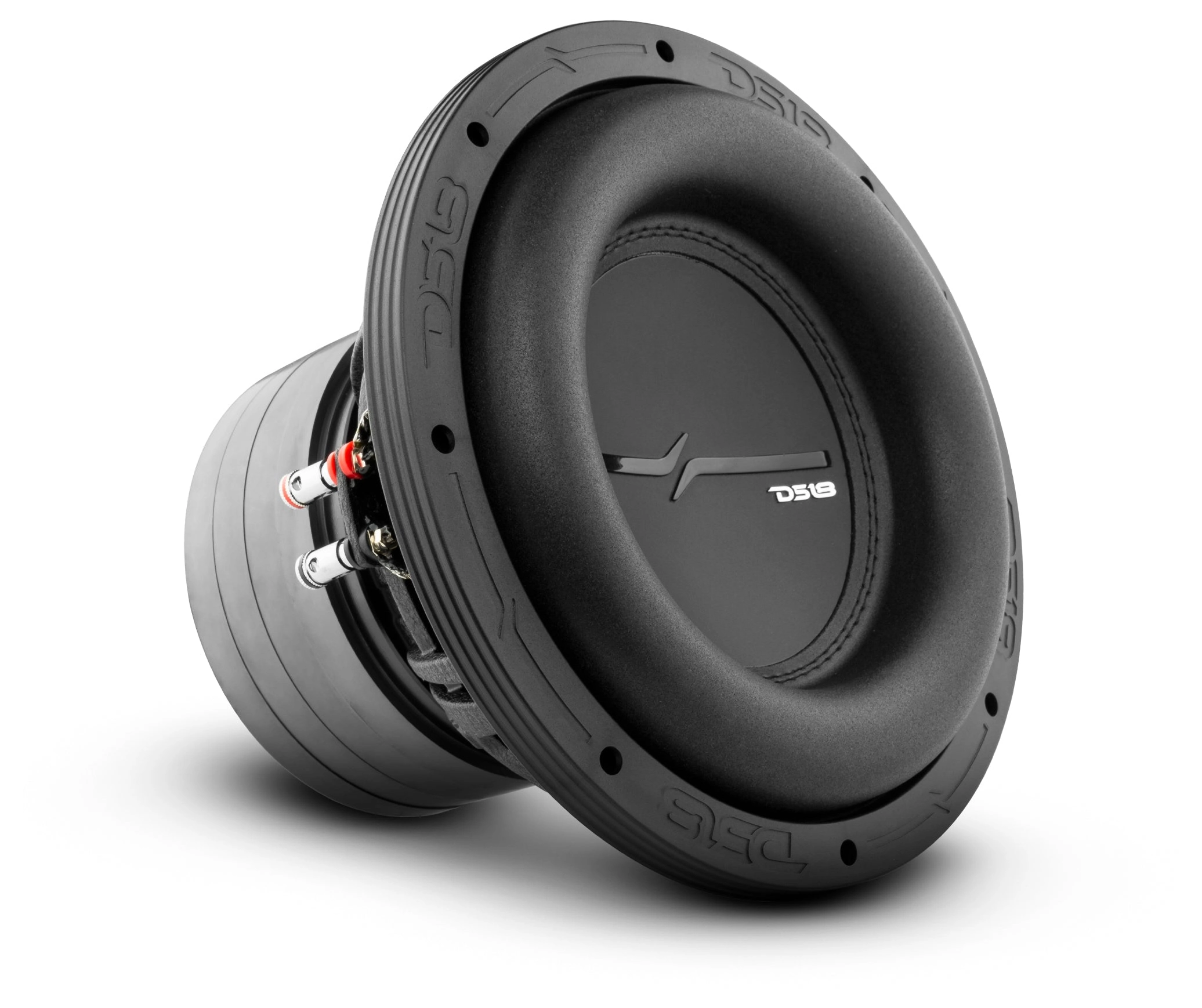 DS18 ZXI10.2D Subwoofer