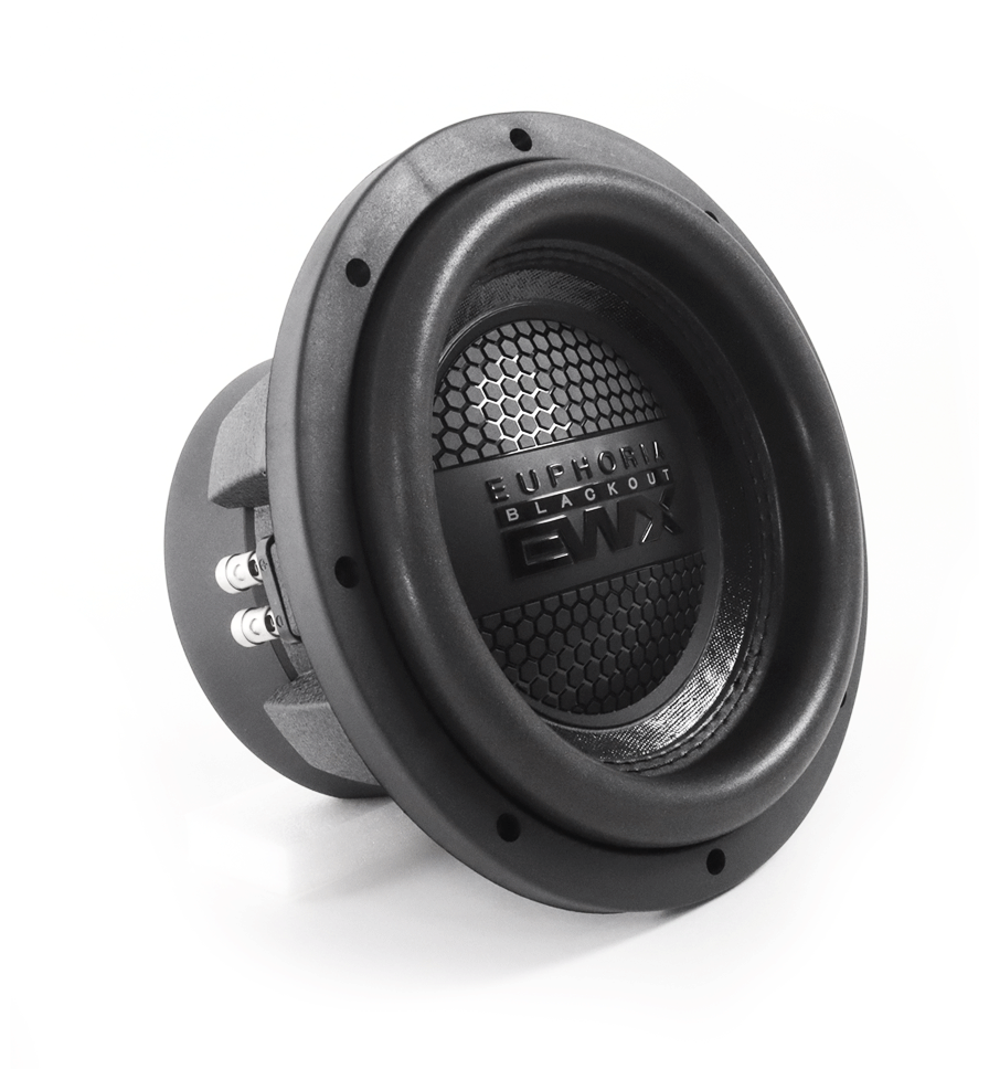 EUPHORIA EWXB10D2 Subwoofer