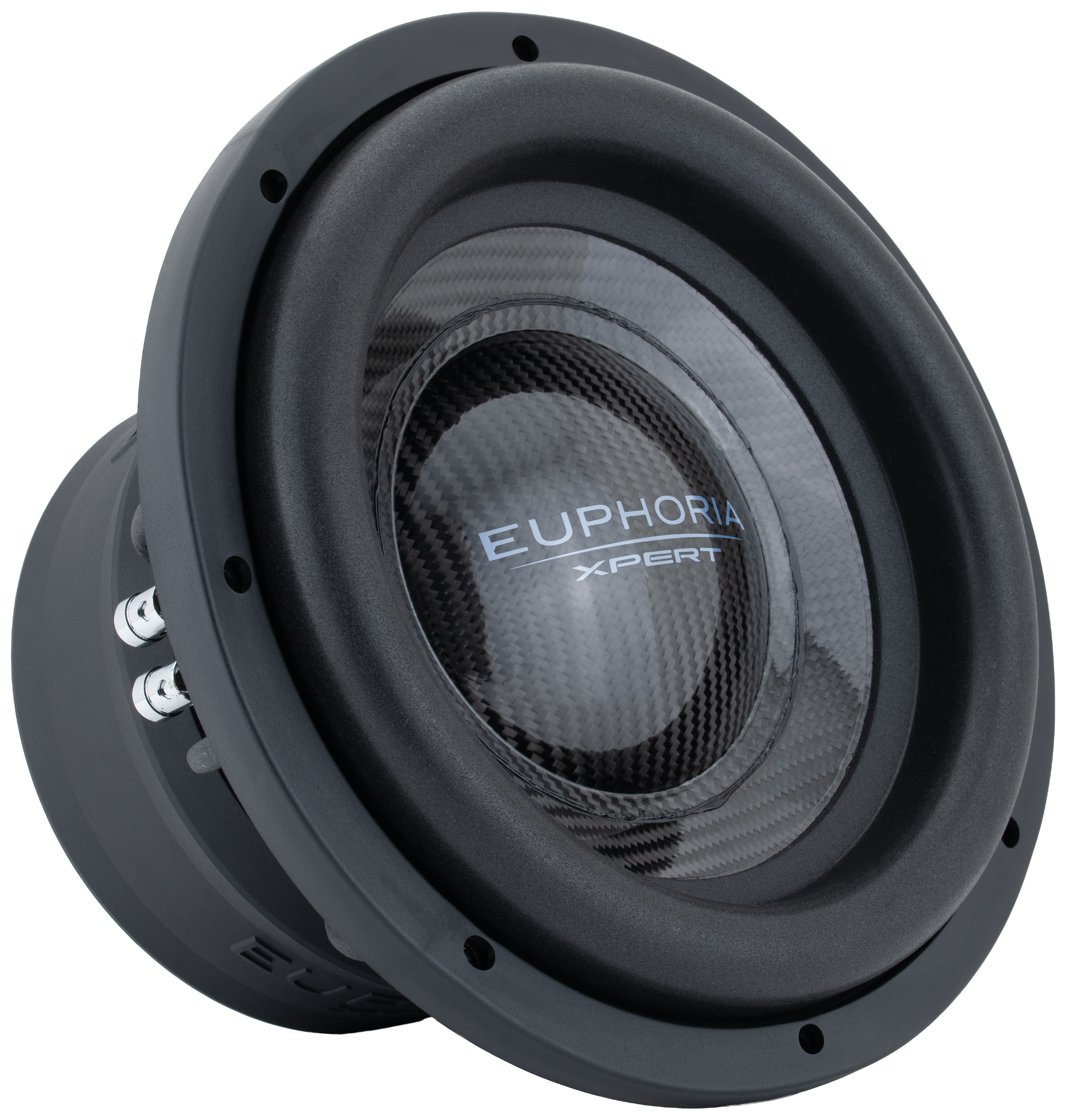EUPHORIA EXW10CF Subwoofer