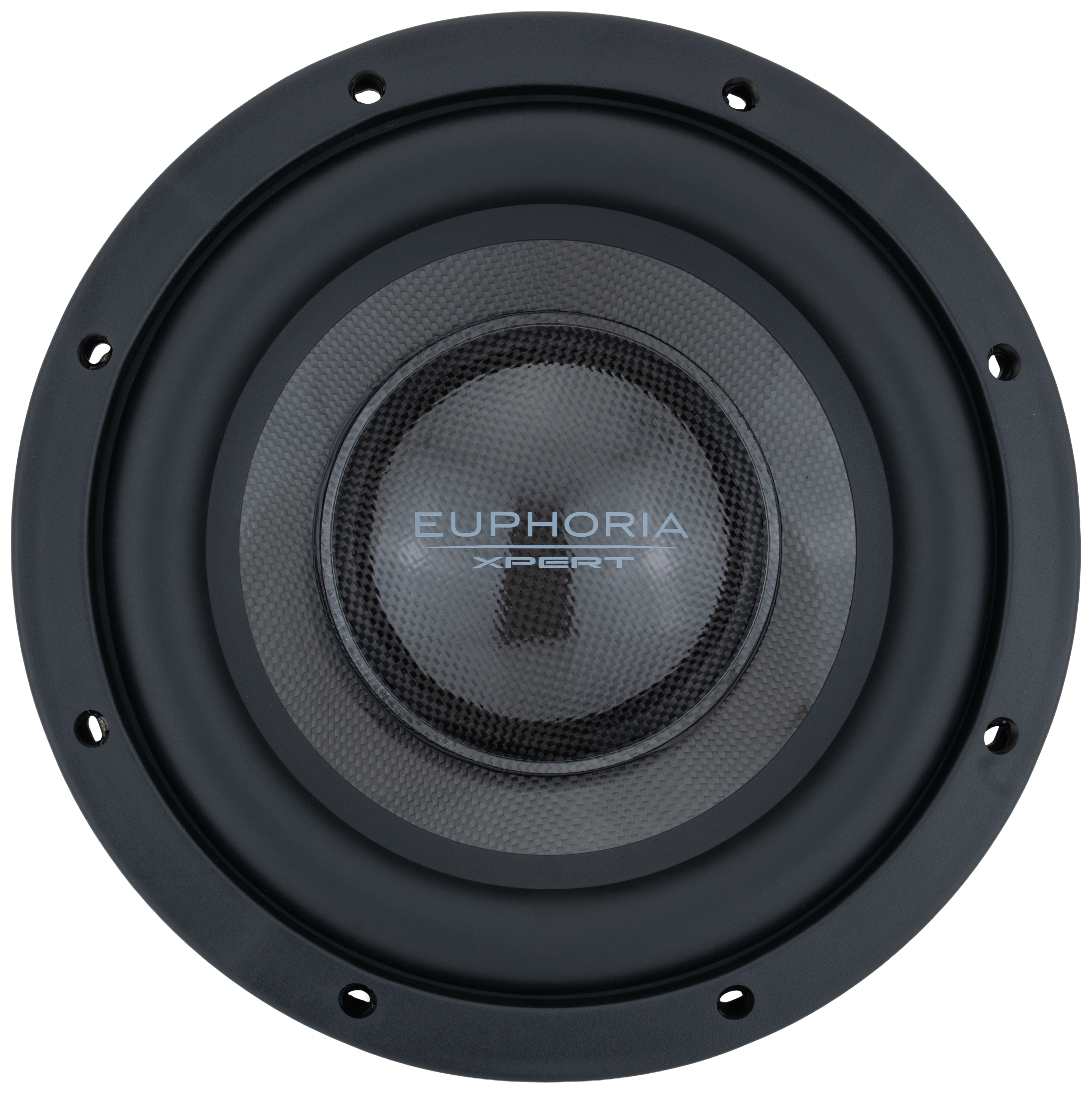 EUPHORIA EXW10NCF Woofer