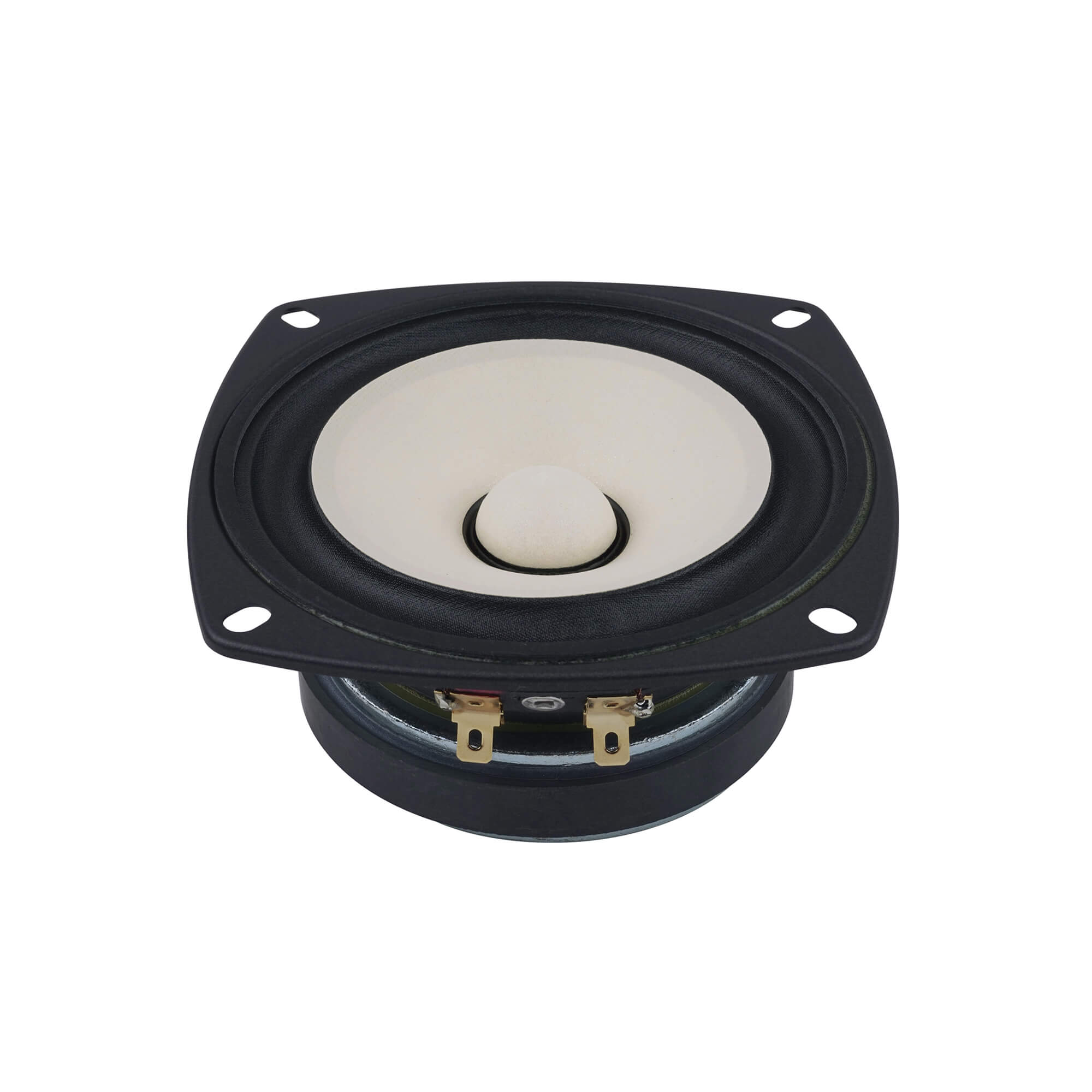 Fostex FE103NV2 Full-range