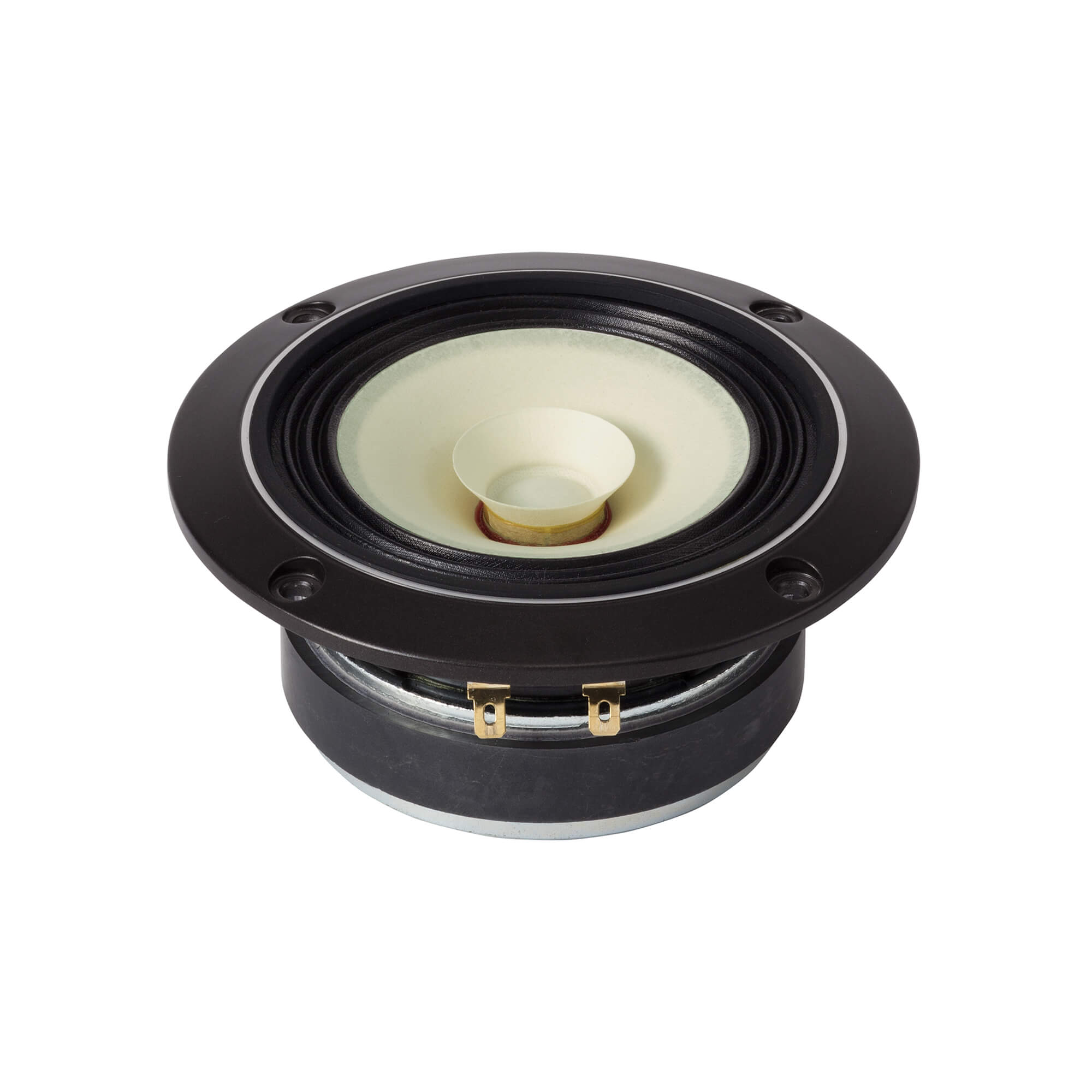 Fostex FE108NS Full-range