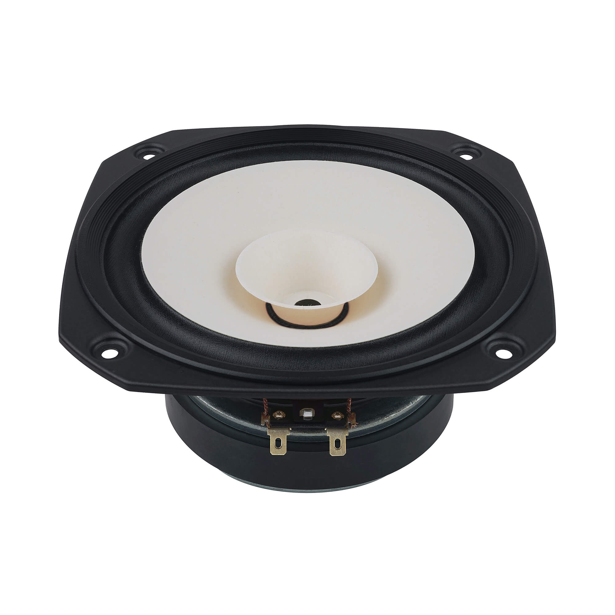 Fostex FE166NV2 Full-range