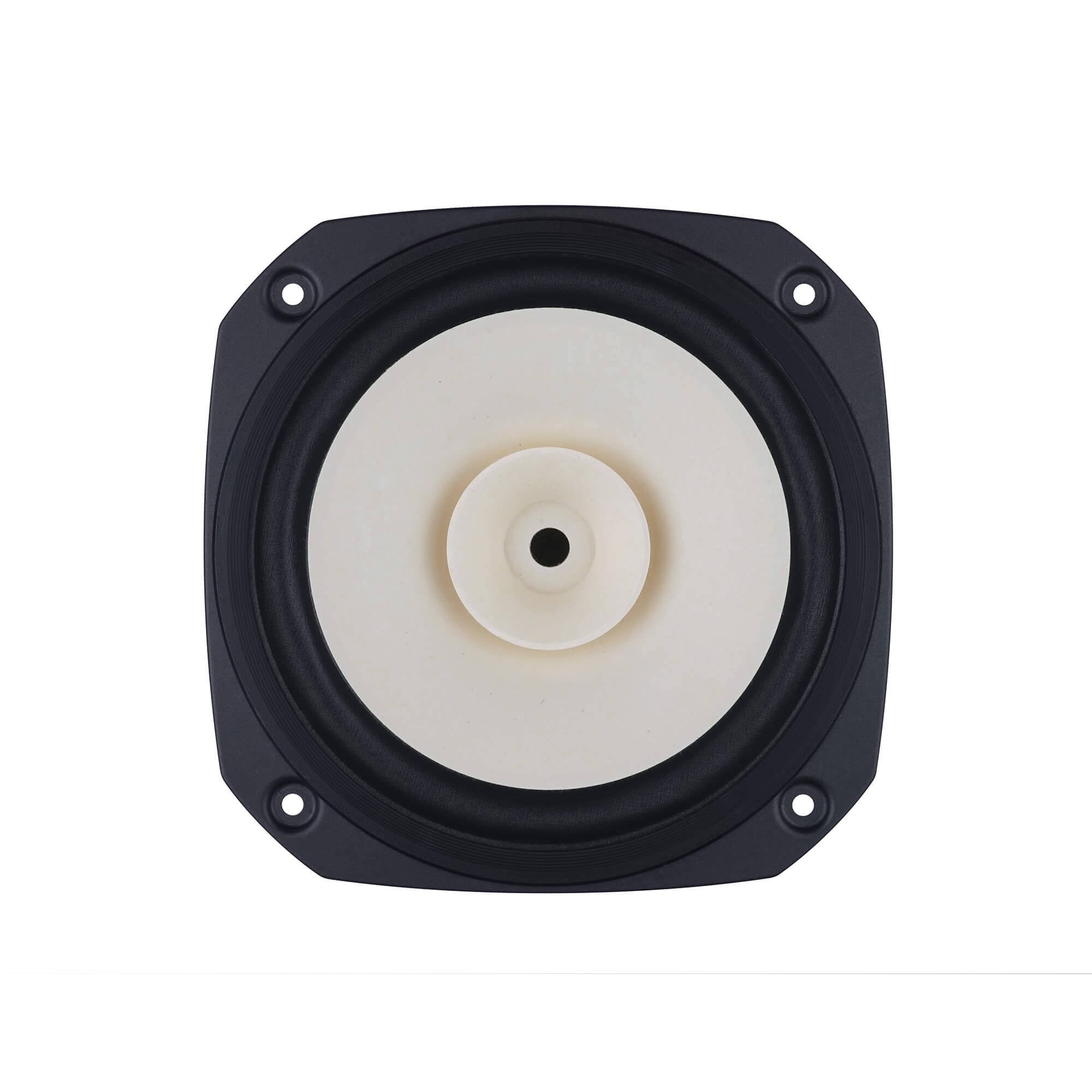 Fostex FE166NV2 Full-range