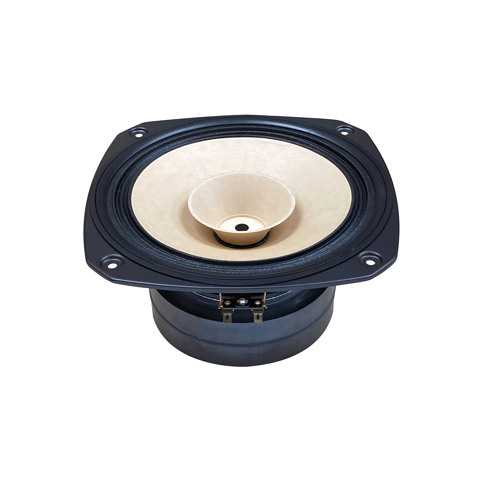 Fostex FE203Σ-RE Full-range