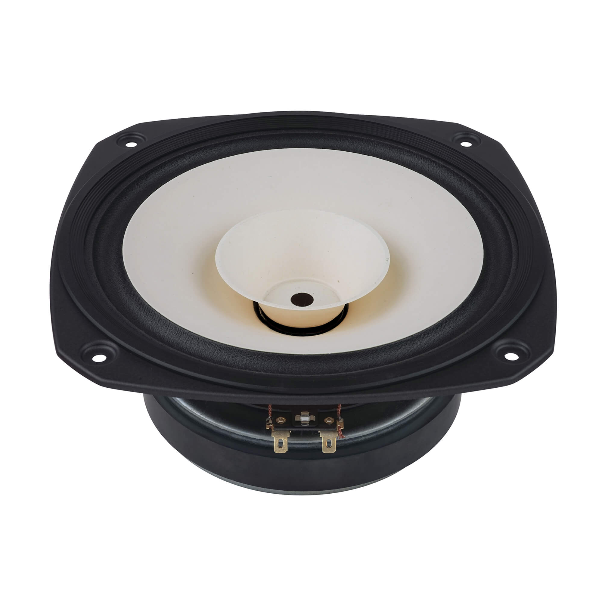 Fostex FE206NV2 Full-range