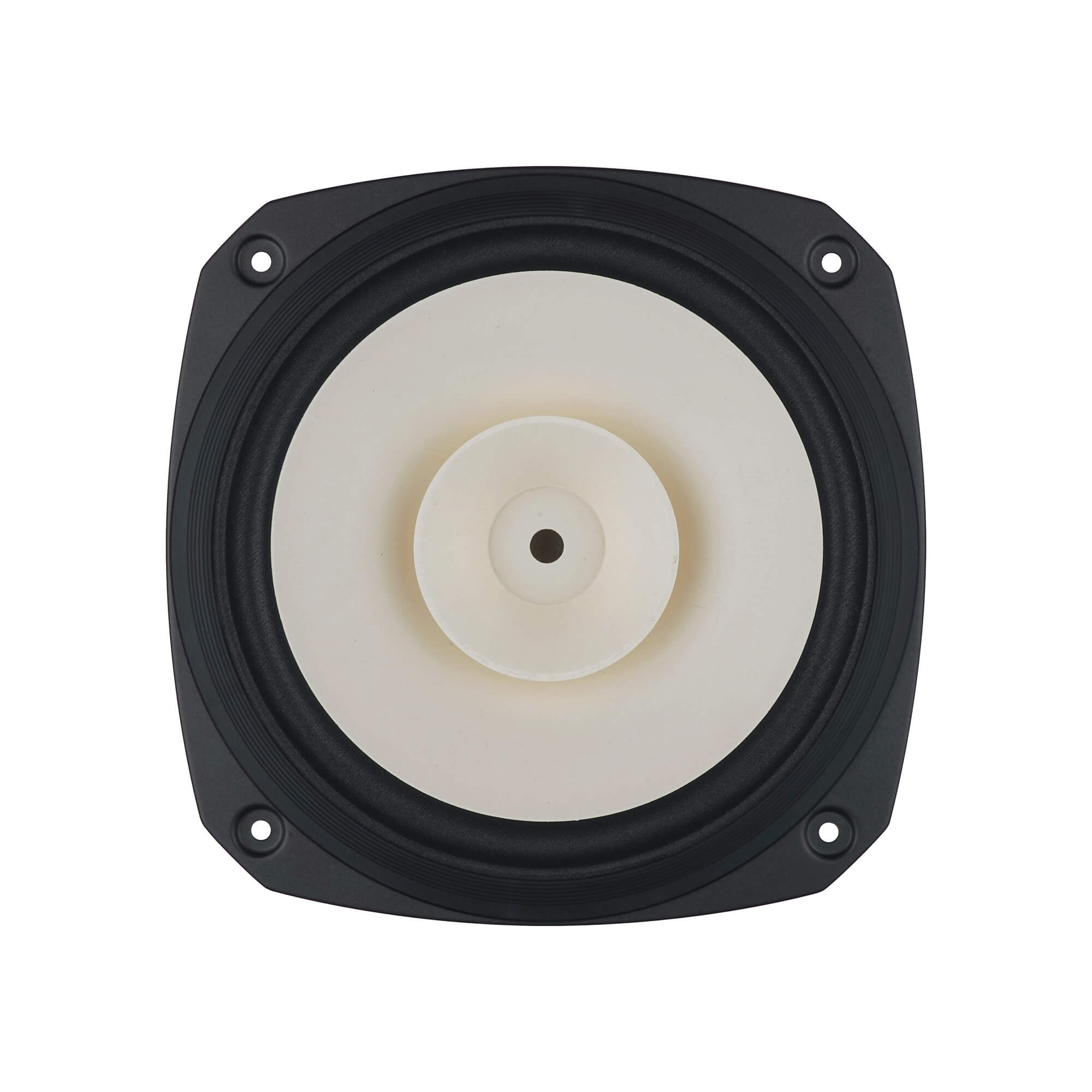 Fostex FE206NV2 Full-range
