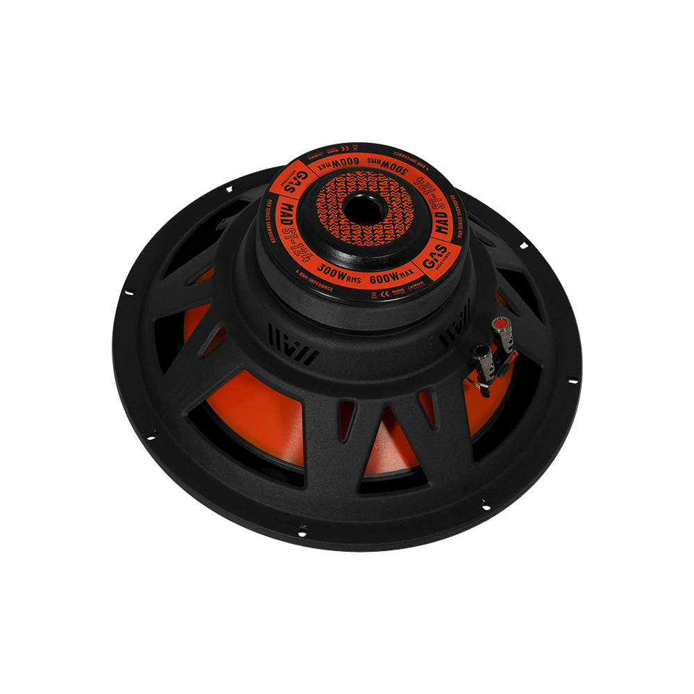 GAS Audio Power MAD S1-124 Subwoofer