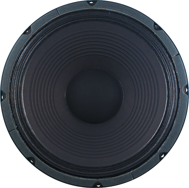 Jensen Mod 12-130 Guitar Speaker