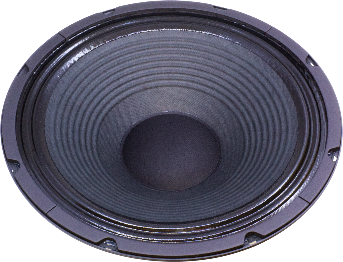 Jensen N 12/100 TR S.E. Guitar Speaker
