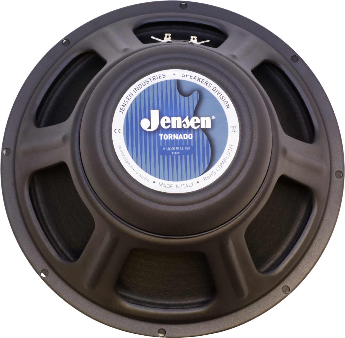 Jensen N 12/100 TR S.E. Guitar Speaker