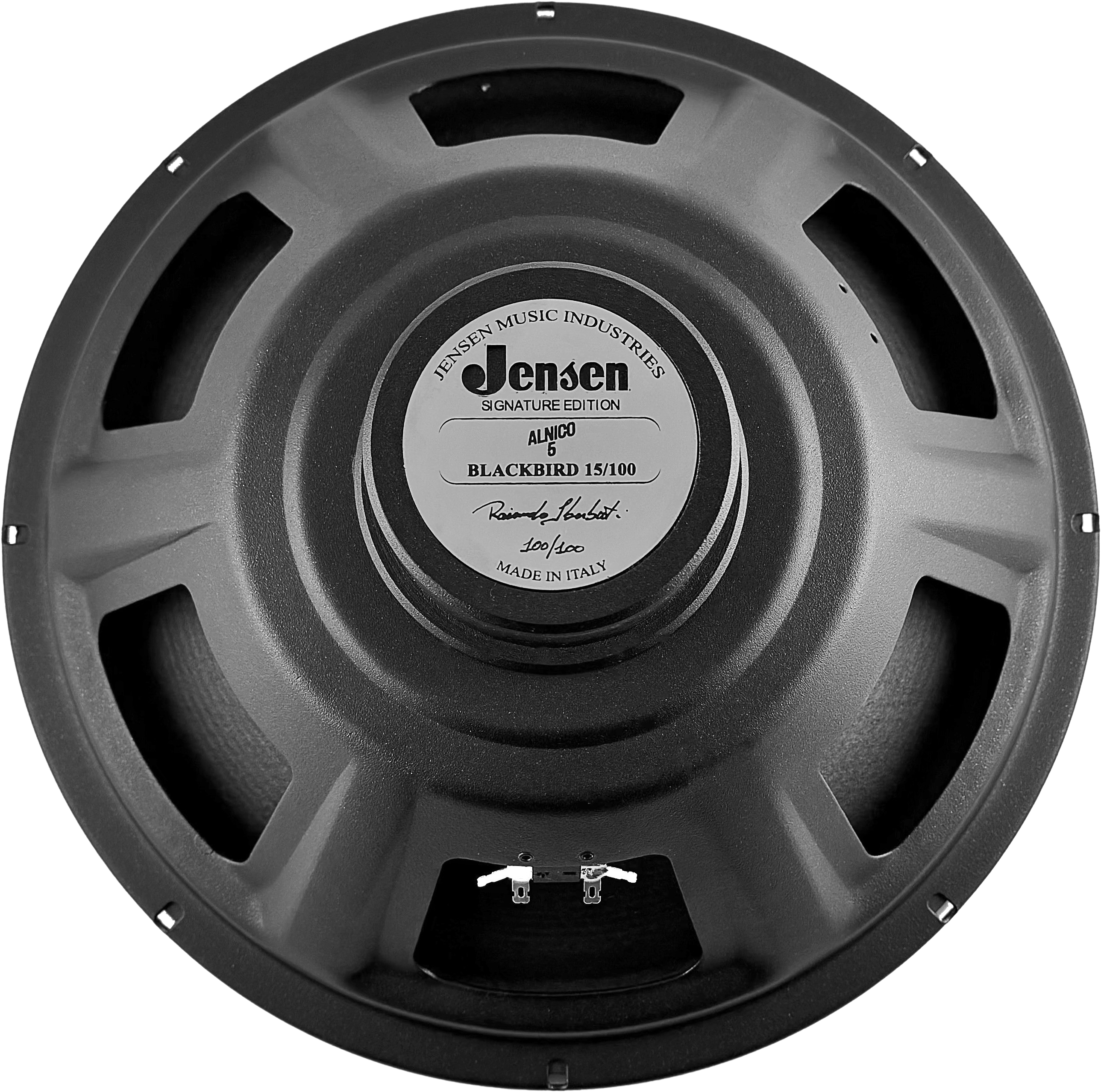 Jensen P 15/100 BB S.E. Guitar Speaker