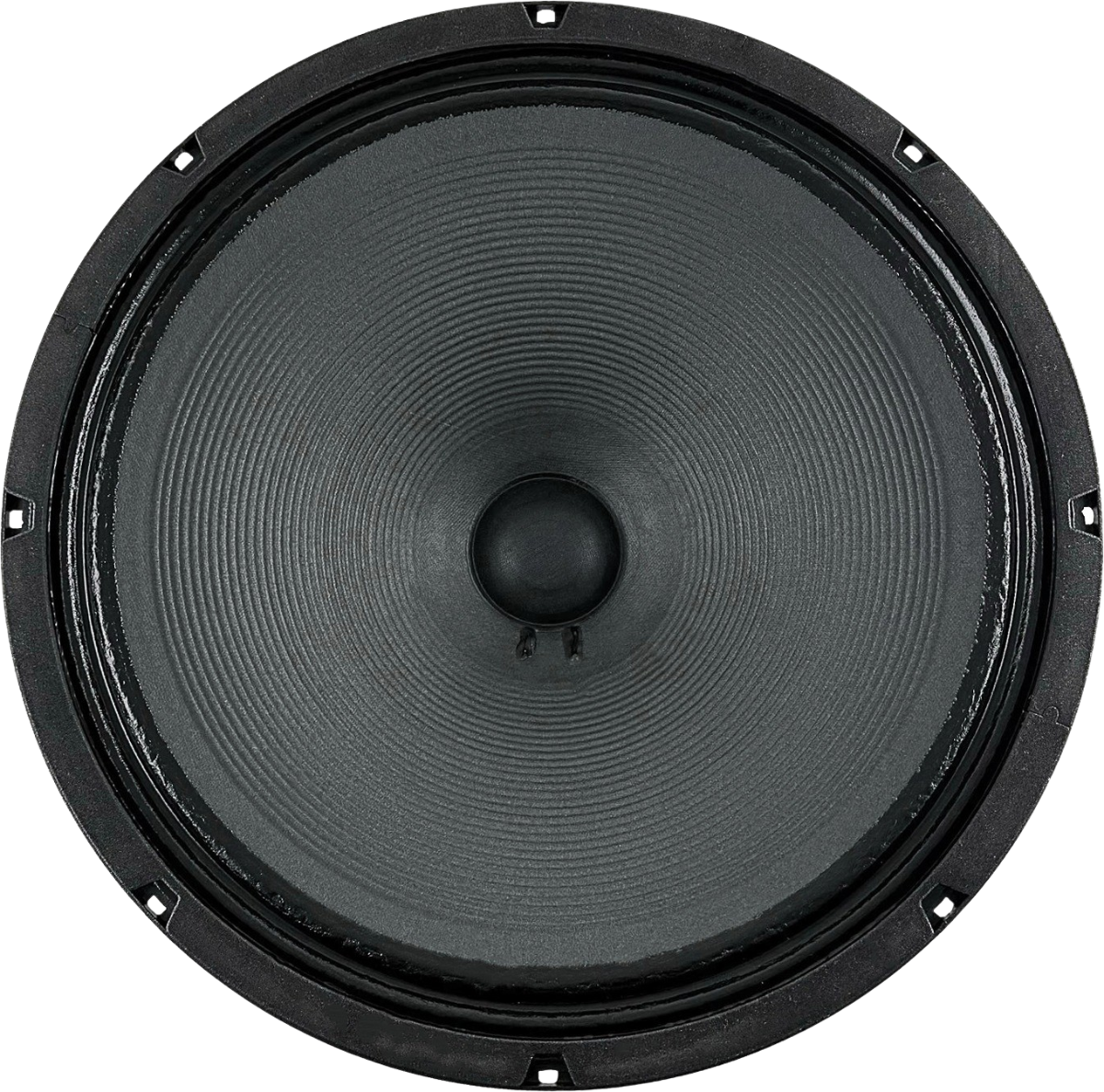 Jensen P 15/100 BB S.E. Guitar Speaker