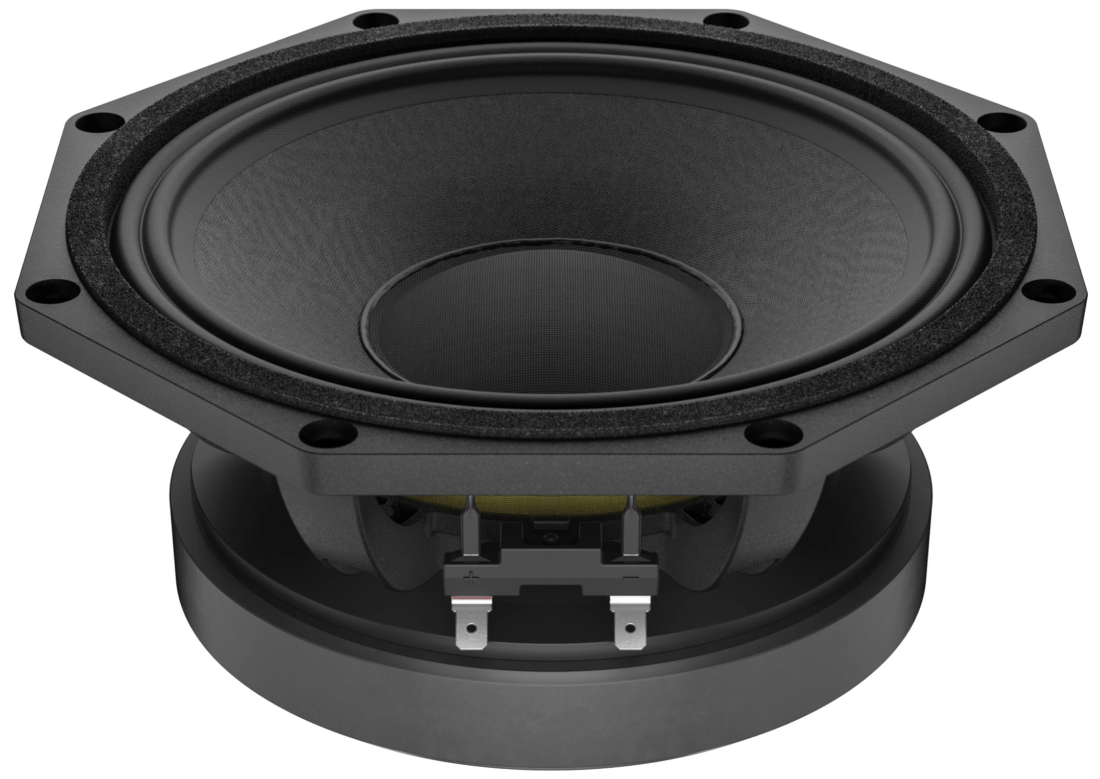 LaVoce CAF082.00K Coaxial