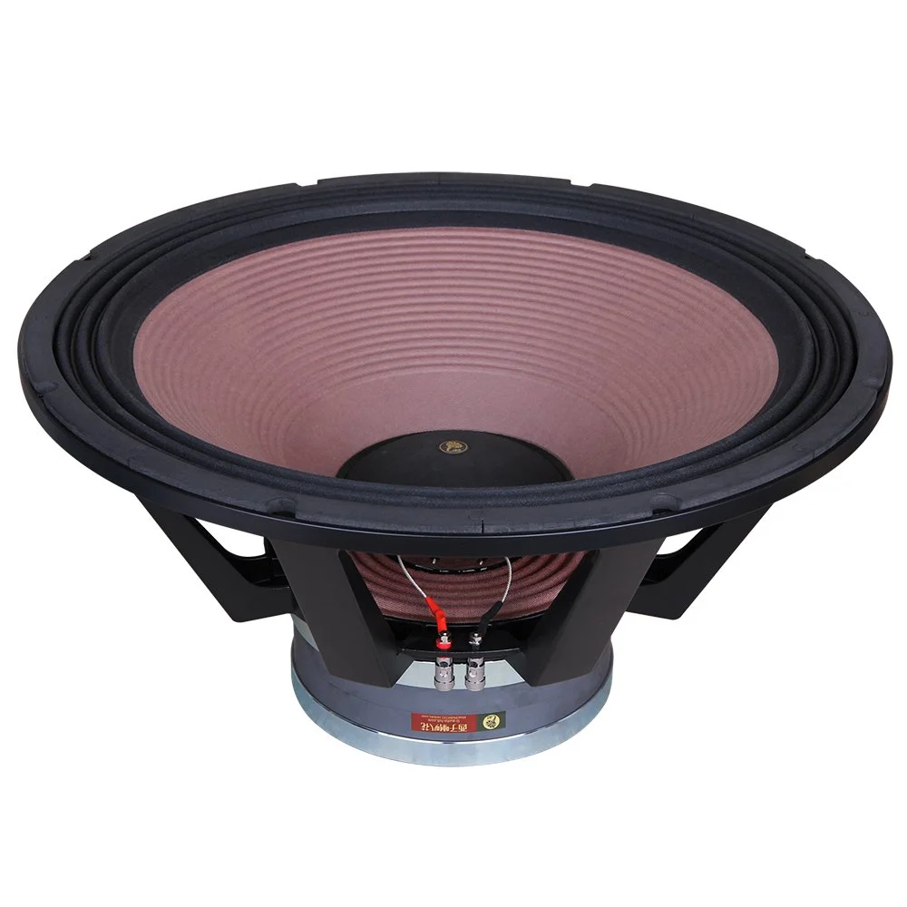 Lii Audio W 21 Subwoofer