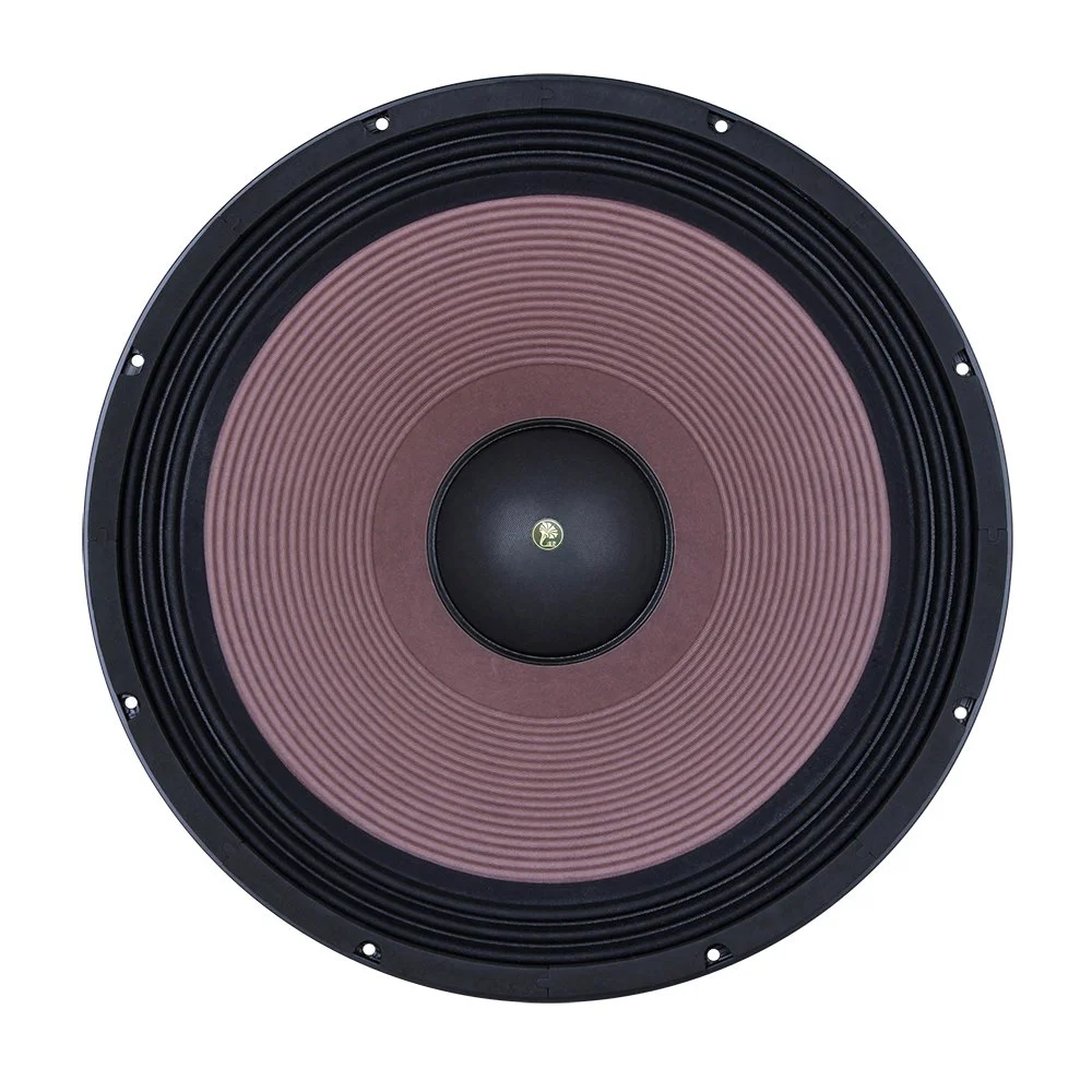 Lii Audio W 21 Subwoofer