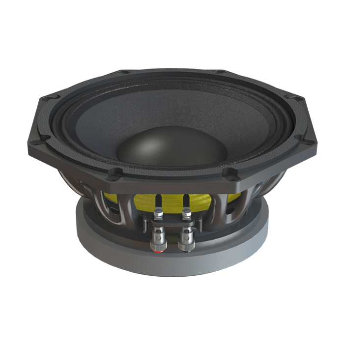 P.Audio 10FT-65MB Low frequency