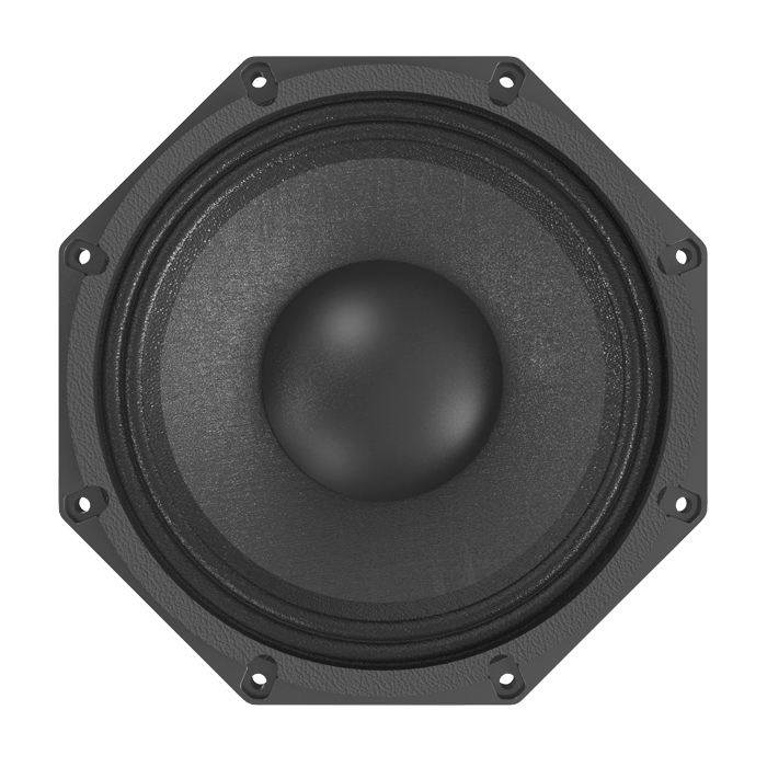 P.Audio 10FT-65MB Low frequency
