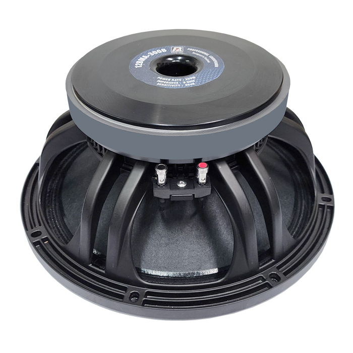 P.Audio 12BMA-300B Low frequency