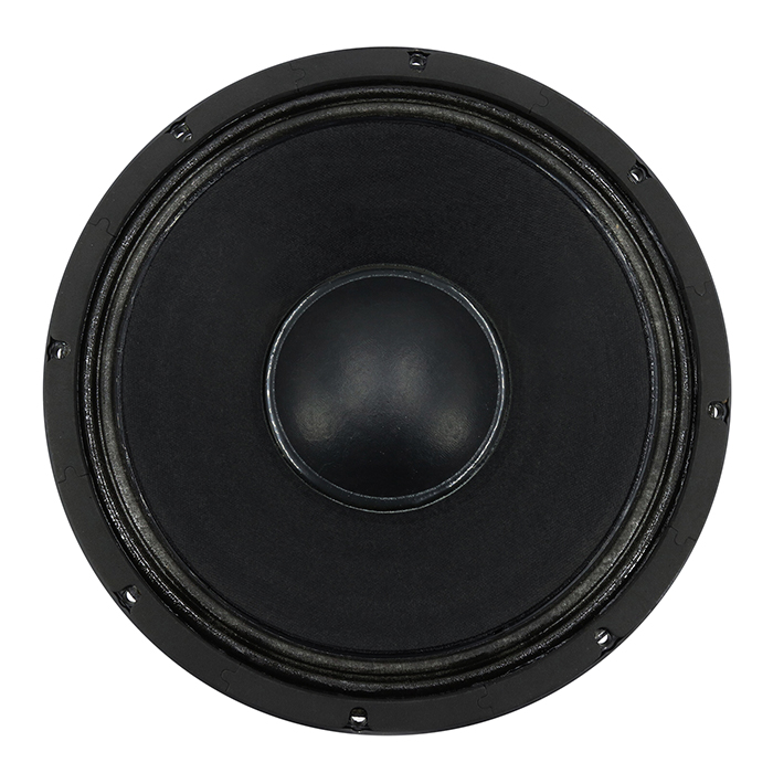 P.Audio GM12-100F Low frequency
