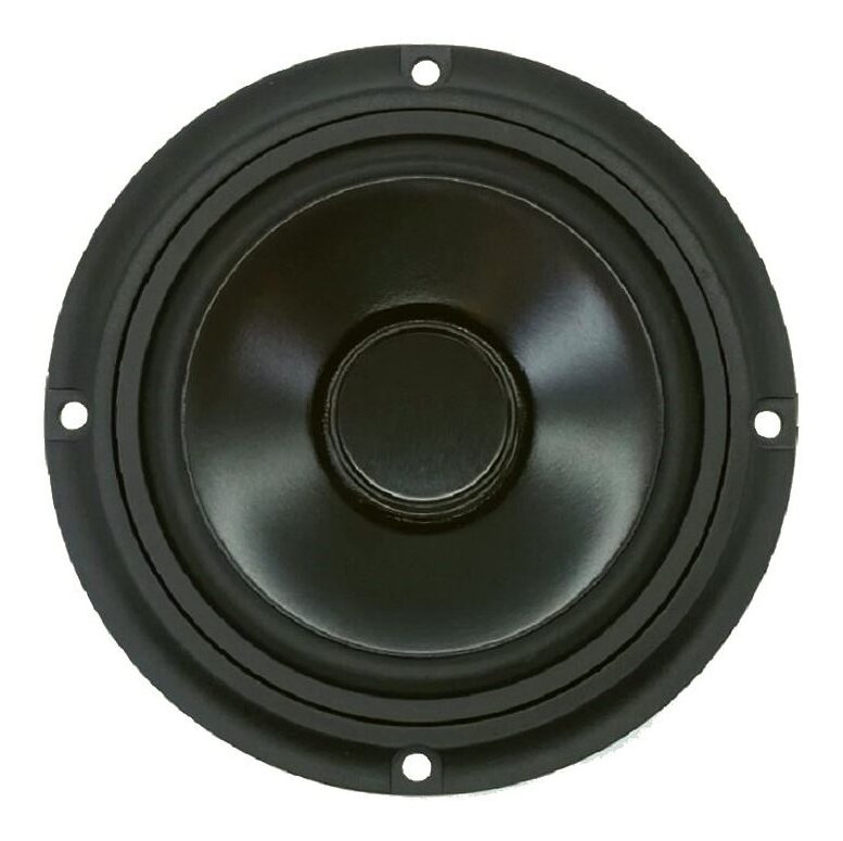 PUNKTKILDE AUGWL0009-JN01 Woofer