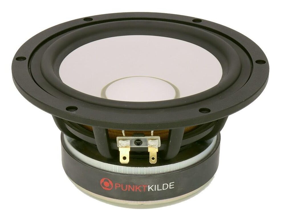 PUNKTKILDE AUGWL0016-JN02 Woofer