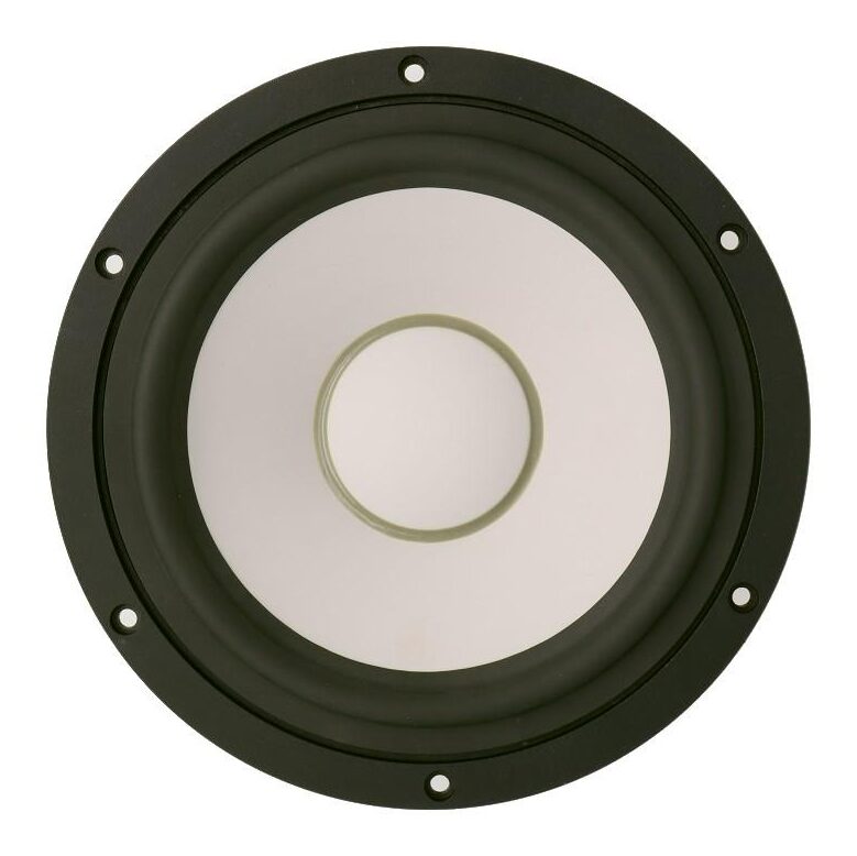 PUNKTKILDE AUGWL0016-JN02 Woofer