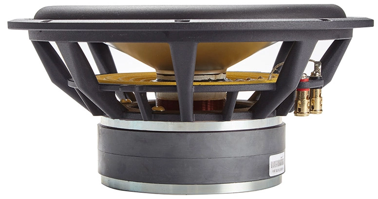 REDCATT 10FHW Subwoofer