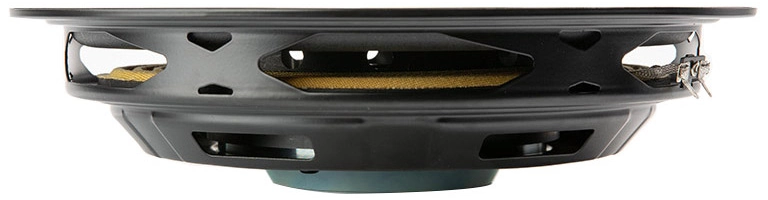 REDCATT Twiggy12 Woofer