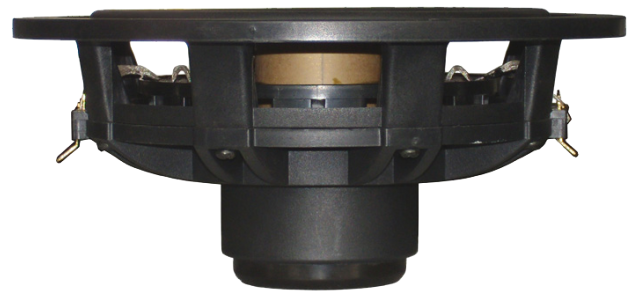 Tang Band W6-1936S Subwoofer