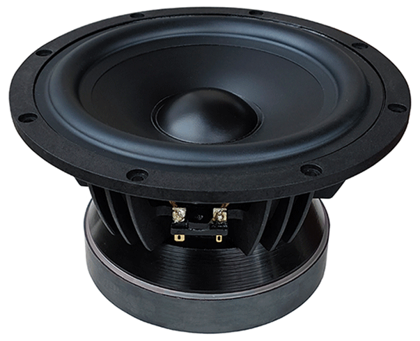 Tang Band W8-1722B Woofer