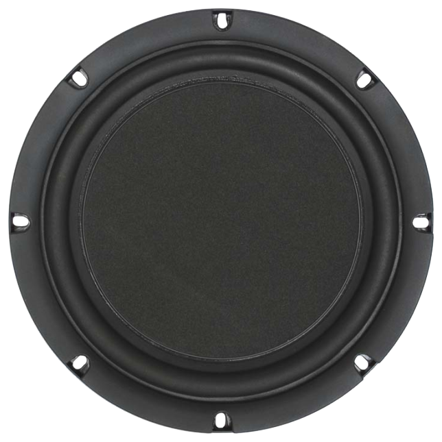Tang Band W8-1853 Subwoofer