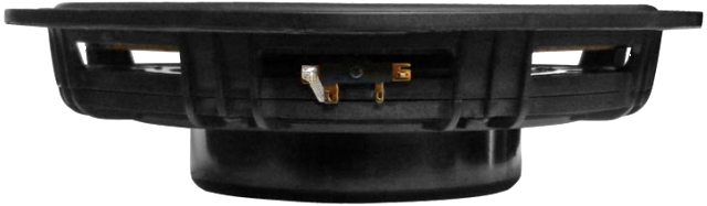 Tang Band WQ-1814SB Subwoofer