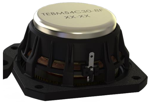 Tectonic TEBM54C30-8F Full-range