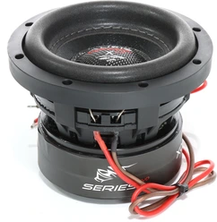 Audio System X 06 EVO Subwoofer
