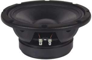 Beyma 8WR250 Woofer
