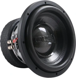 Down4Sound DBz10D2 Subwoofer