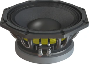 P.Audio 10FT-65MB Low frequency