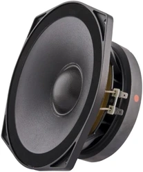 PHL audio 1120 Mid-range