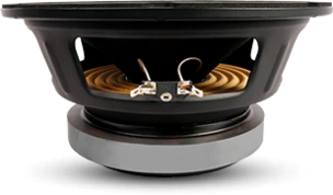 SB Audience BIANCO-10MW150 Woofer