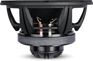 SB Audience ROSSO-10CX300 Coaxial