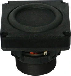 Tang Band W2-2040S Subwoofer