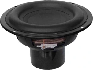 Tang Band W6-1139SI Subwoofer