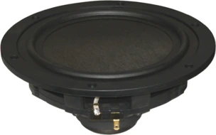 Tang Band W6-1936S Subwoofer